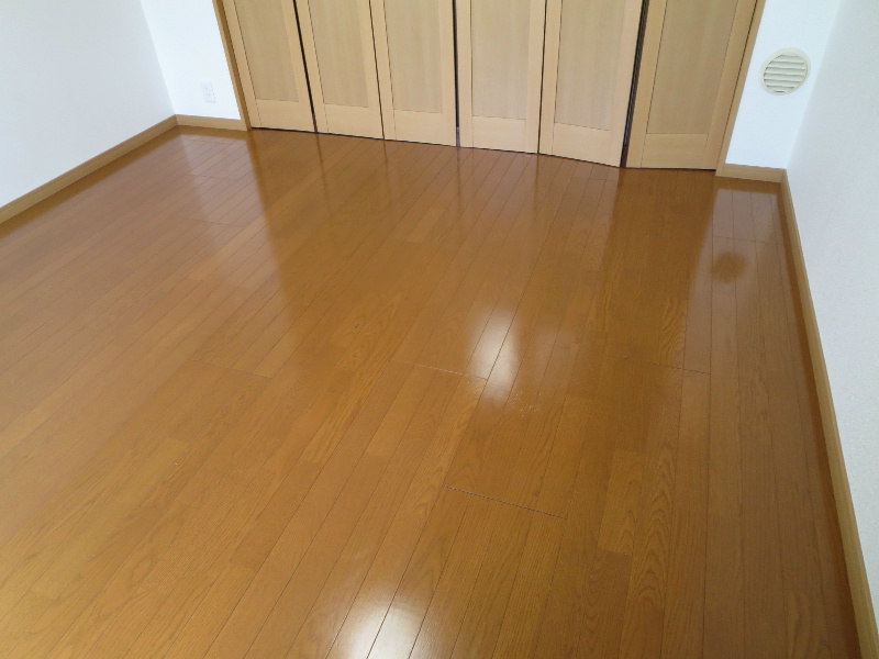 エルグレーシア その他