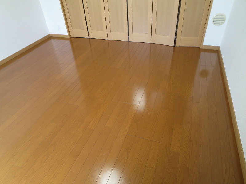 エルグレーシア その他