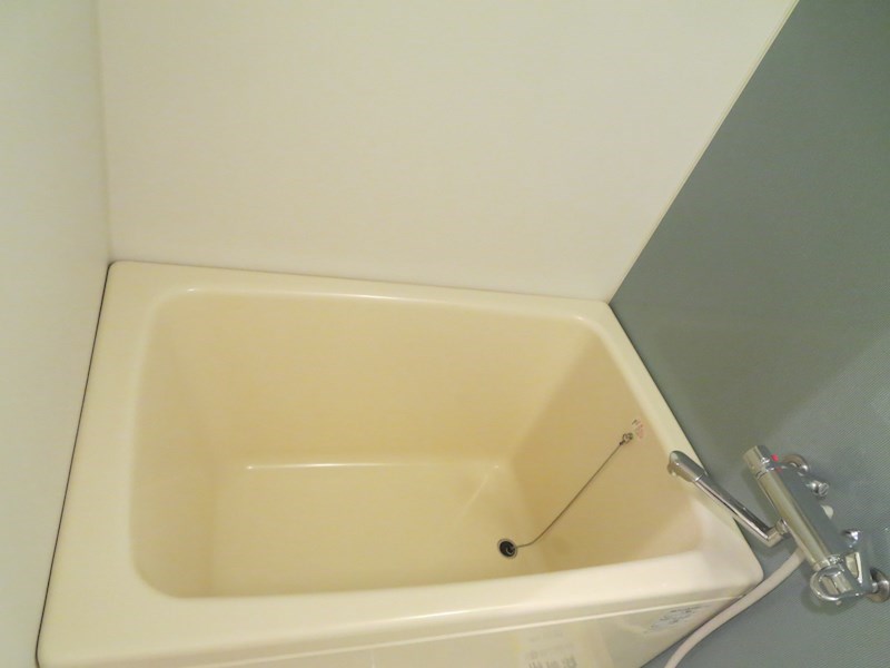 S-RESIDENCE NAMBA VIALE 風呂画像