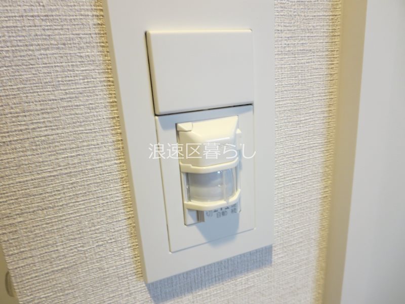 THE  MUSIC  COURT その他