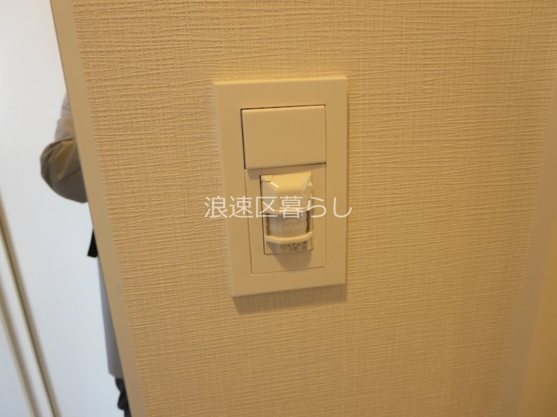 THE  MUSIC  COURT その他