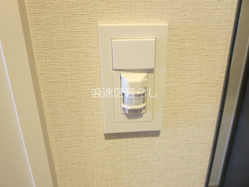 THE  MUSIC  COURT その他