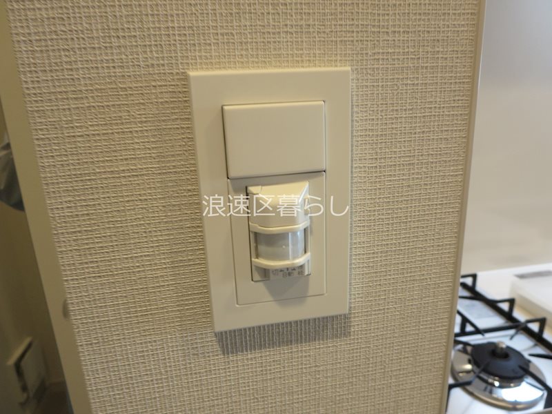 THE  MUSIC  COURT その他