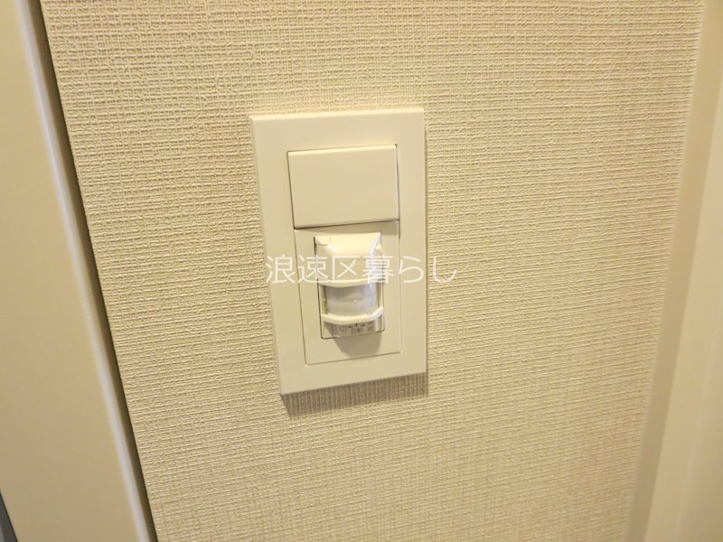 THE  MUSIC  COURT その他
