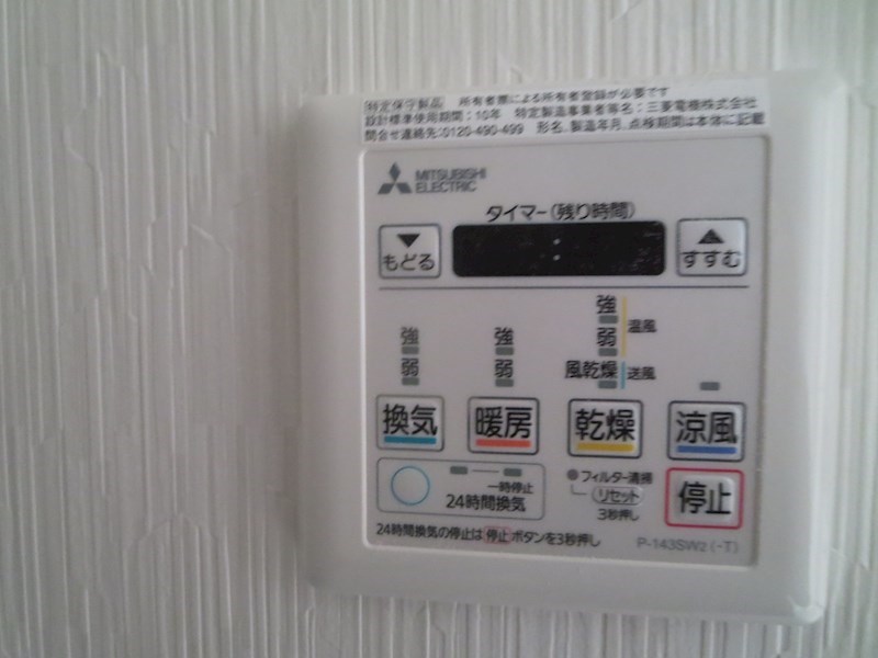 ViViEBISu その他