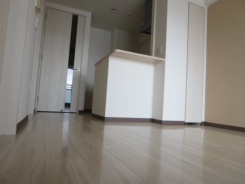 ＣＩＴＹ　ＳＰＩＲＥ難波グレイス その他