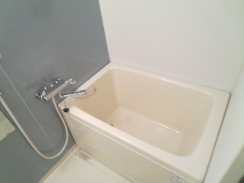 S-RESIDENCE NAMBA VIALE 風呂画像