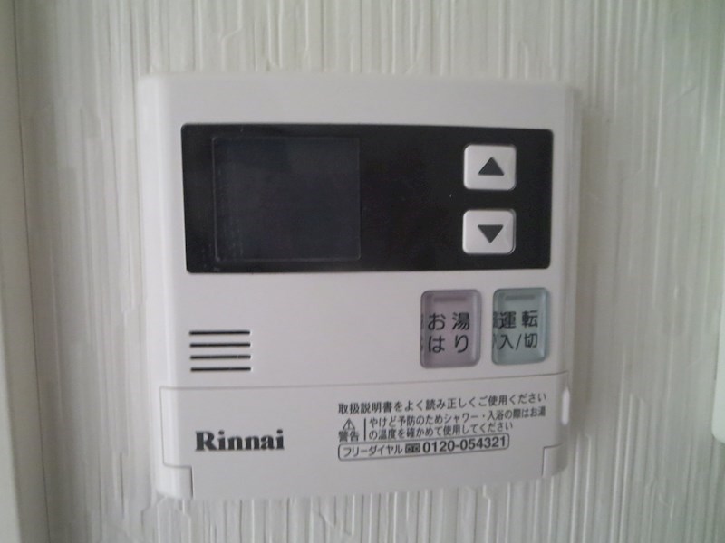 ViViEBISu その他