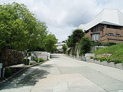 ニックあさひ 大学・短大