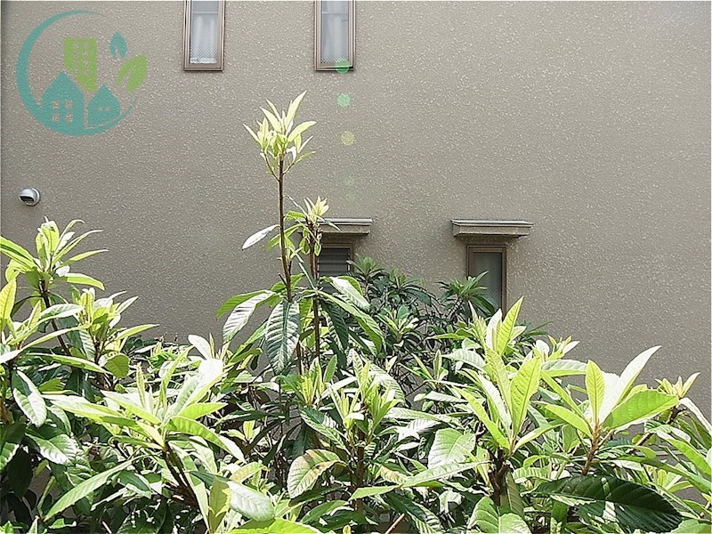 ライフ石町 その他