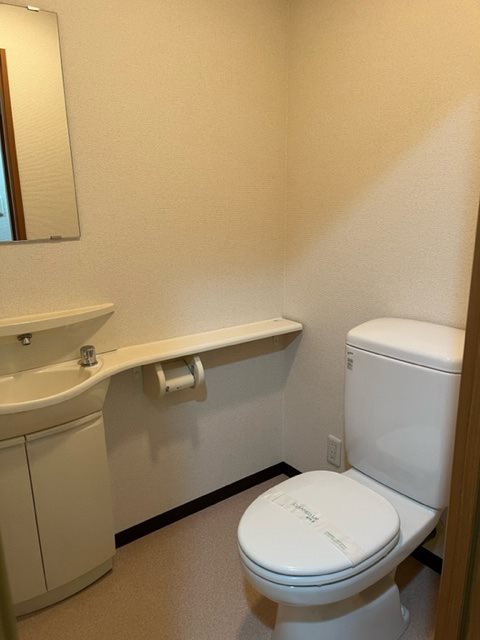 フェスシントミ その他1