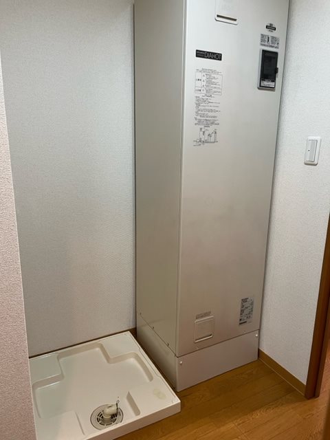 フェスシントミ その他2