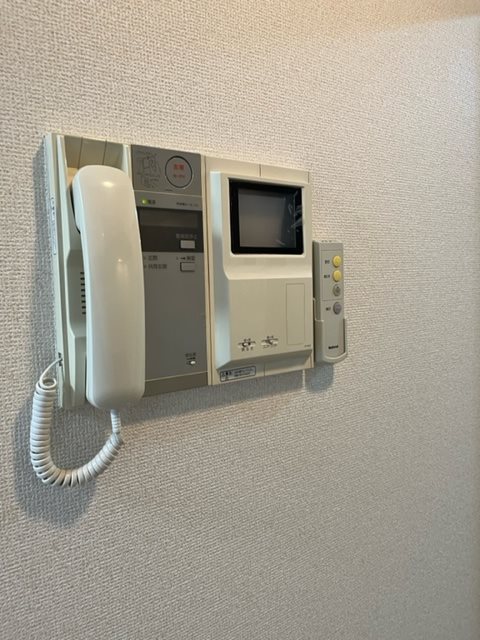 フェスシントミ その他3