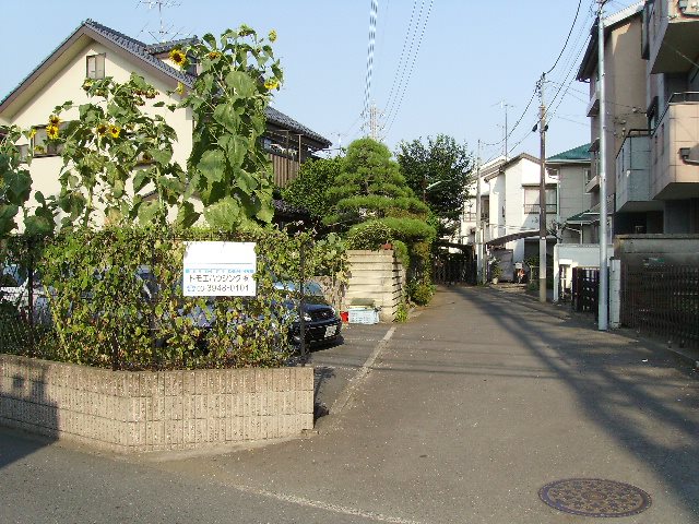 大橋駐車場 玄関