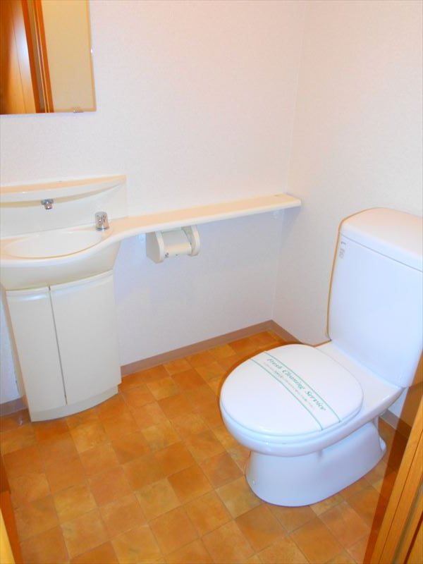 フェスシントミ  その他1