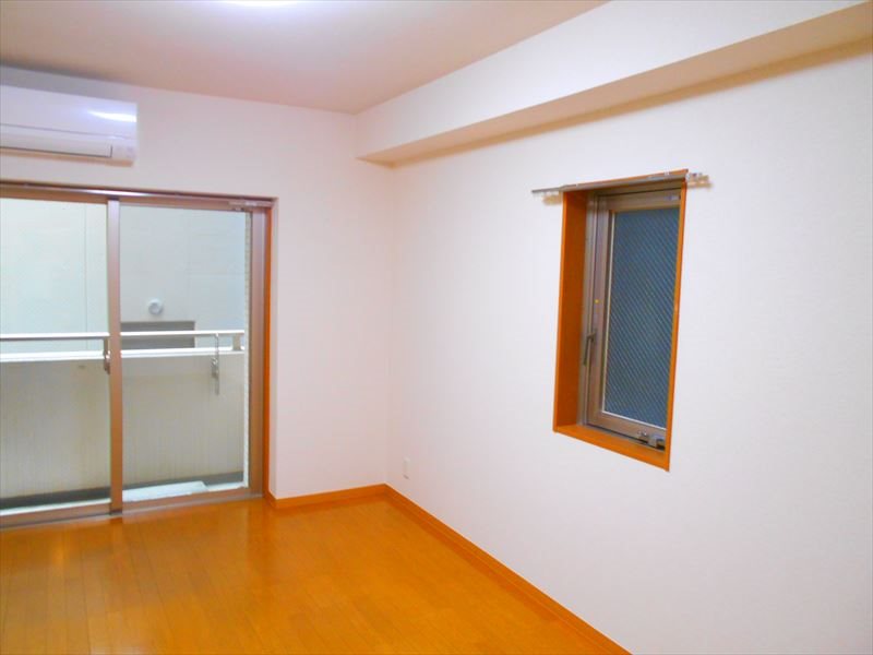 フェスシントミ  その他2