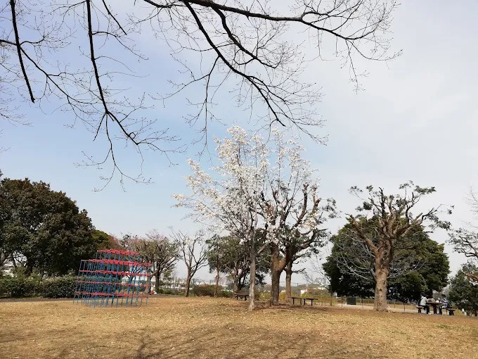大倉山第二コーポラスA棟 周辺画像10
