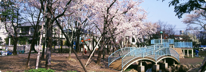 ジュネス北綾瀬 周辺画像10