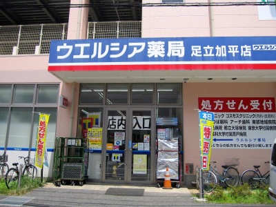 ジュネス北綾瀬 周辺画像3