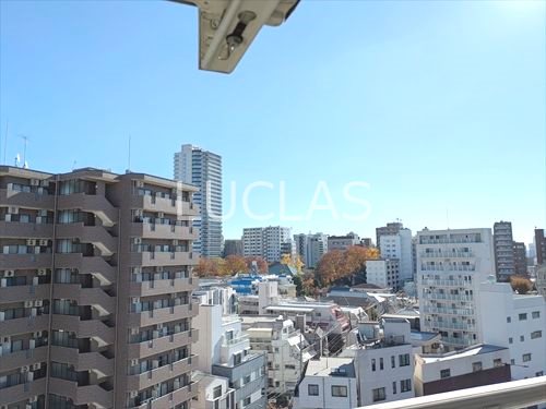 ハイネス要町 その他8