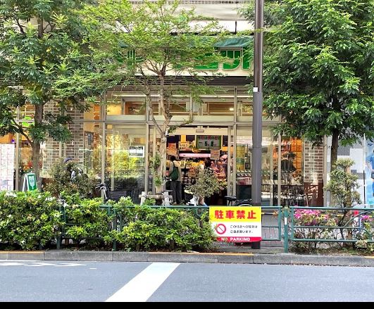 ディアレイシャス西新宿 周辺画像6