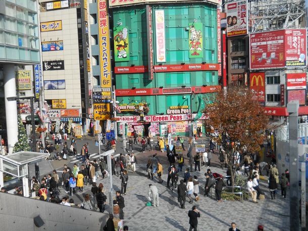 メゾンカルム西新宿 その他外観5