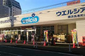 日神パレステージ石川町 周辺画像5