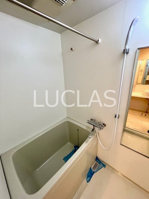 レジディア西新宿Ⅱ 風呂画像