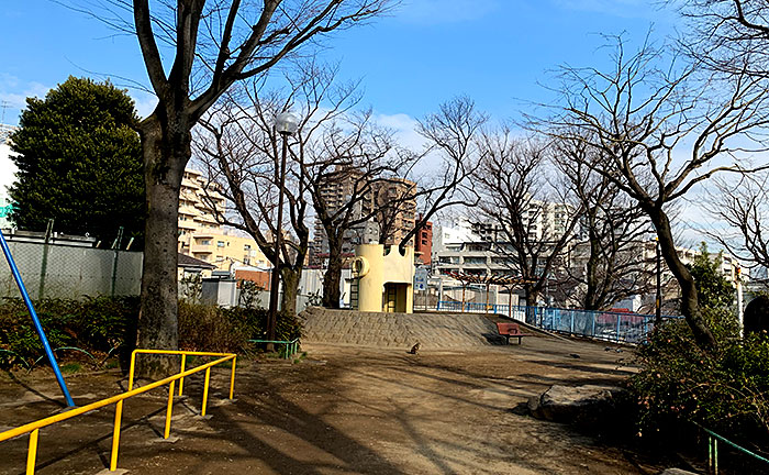 ヴォアラクテ西早稲田 周辺画像10