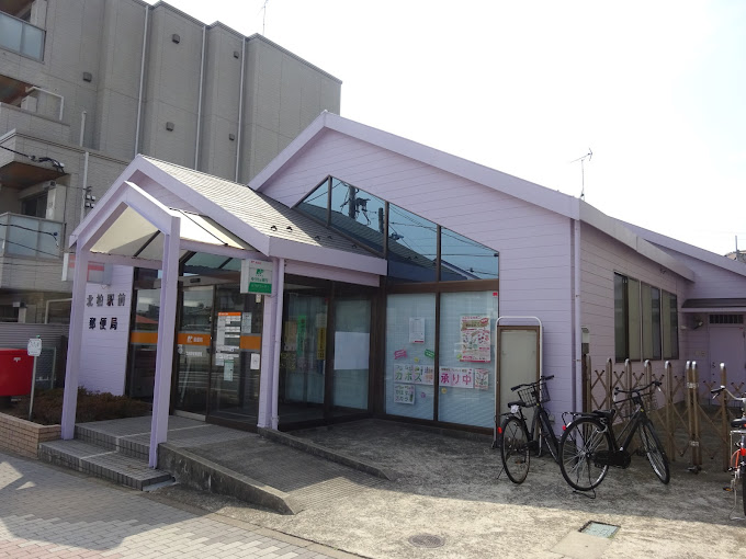 アインズコート柏 周辺画像8