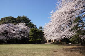 ナチュール下北沢 周辺画像9