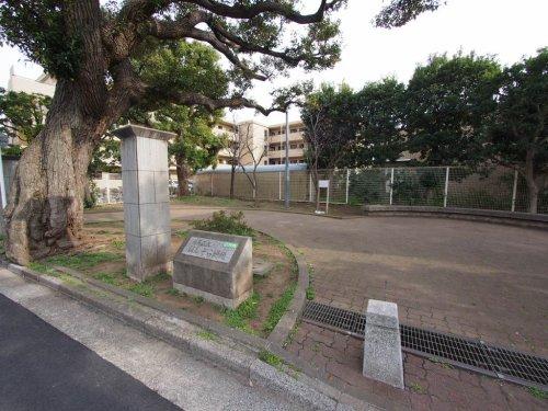 パークサイド桜台 周辺画像9