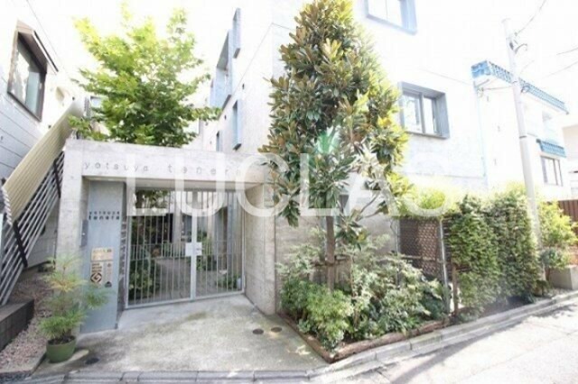 ｙｏｔｓｕｙａ　ｔｅｎｅｒａ（ヨツヤテネラ） その他5