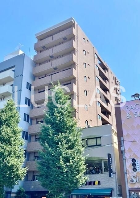 ステージグランデ新高円寺 501号室 外観
