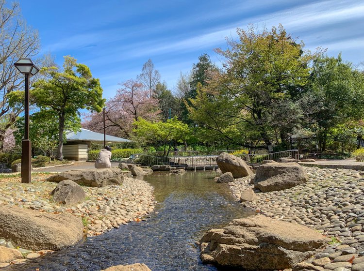 ステージグランデ新高円寺 周辺画像10