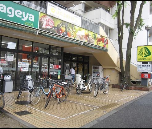 ステージグランデ新高円寺 周辺画像2