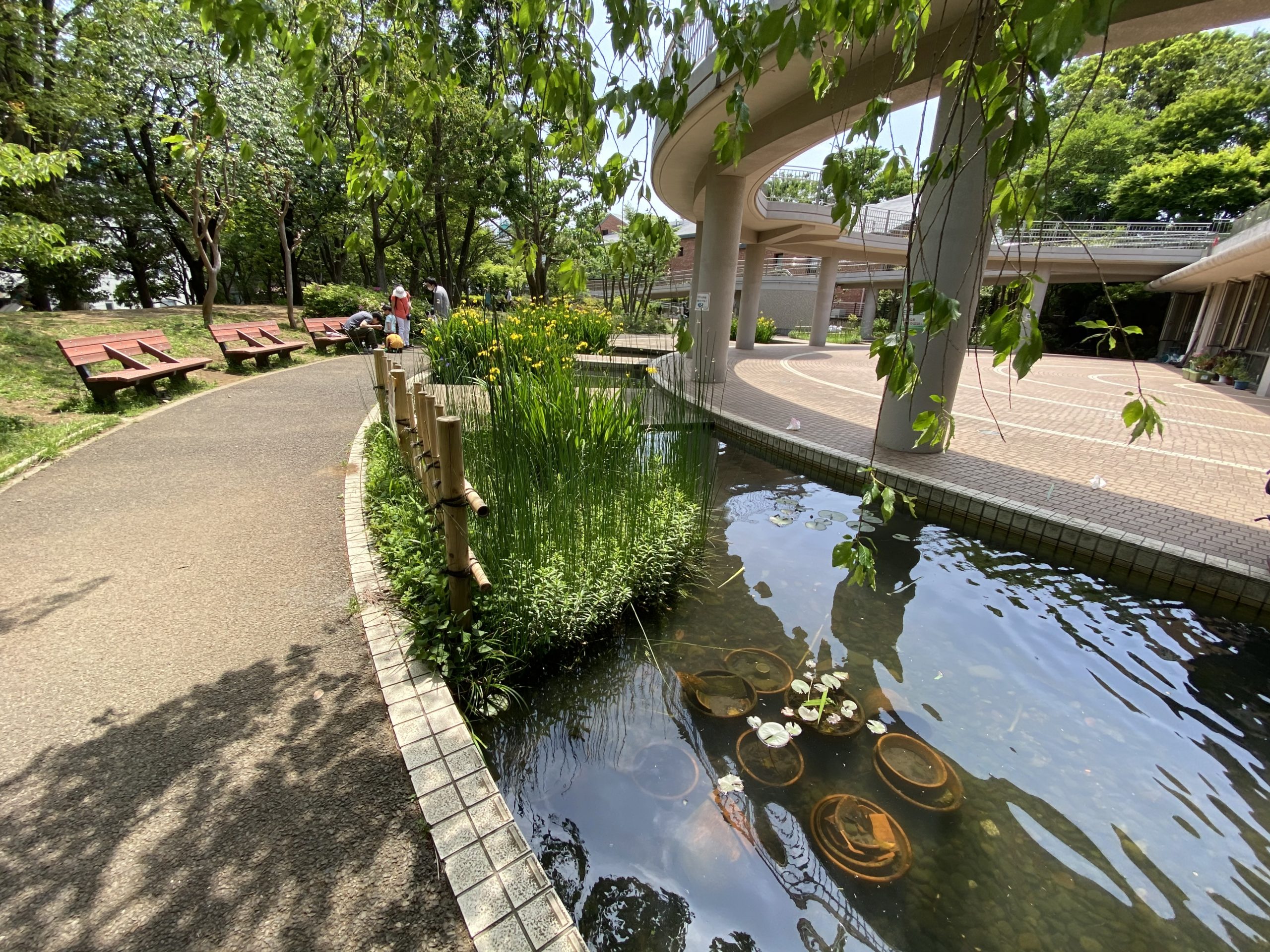 フェニックス渋谷本町 周辺画像9