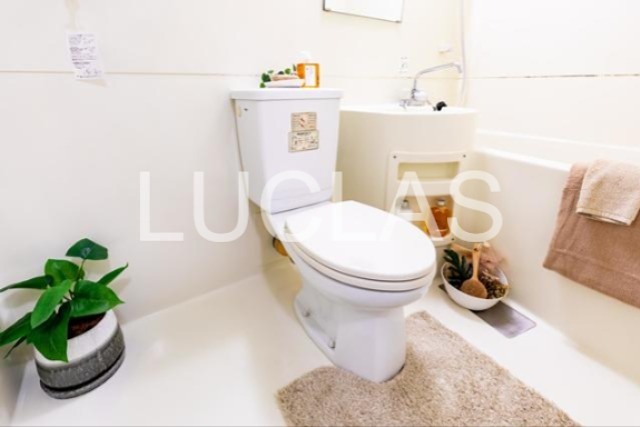 パークグレース新宿 その他2