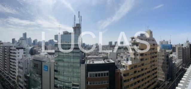 ラクアスレジデンス東新宿 その他6