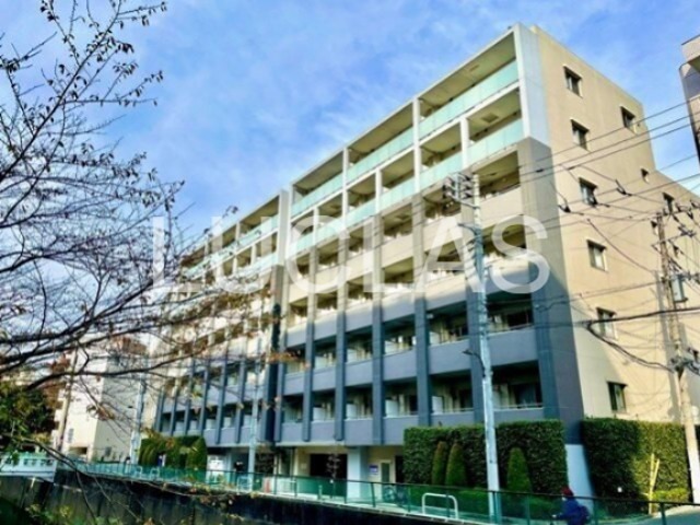 レジディア中落合Ａ棟 204号室 外観