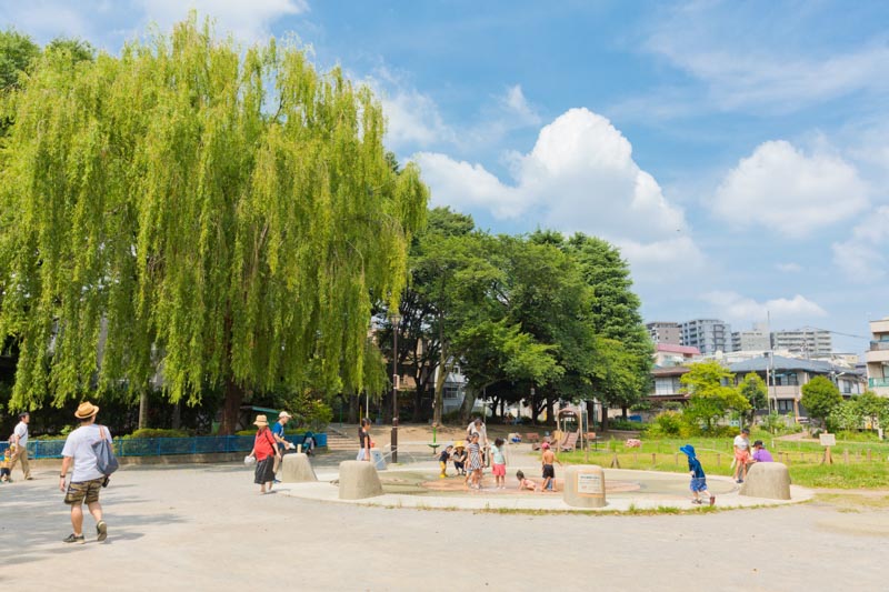 エクシム板橋区役所前 周辺画像10