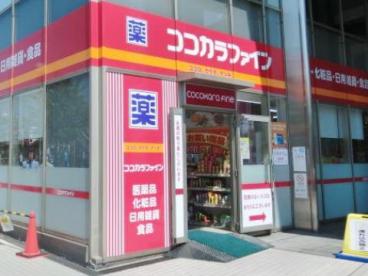 ステラ成増 周辺画像6