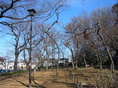 カーサ・デ・徳丸 周辺画像9