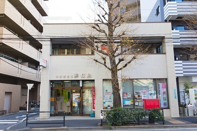 グランエッグス中野富士見町 周辺画像8