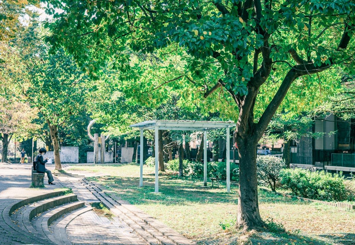 エクセリア代々木 周辺画像10