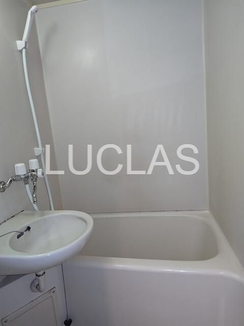 ＴＡＯＲＭＩＮＡ その他2