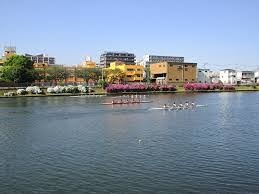 フォレスタ戸田公園 周辺画像9