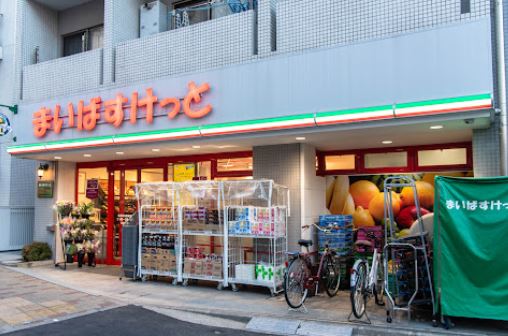 ロイヤルパレス高円寺 周辺画像3