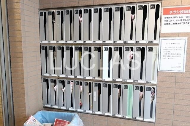 マルベリーラグーン勝どき その他2