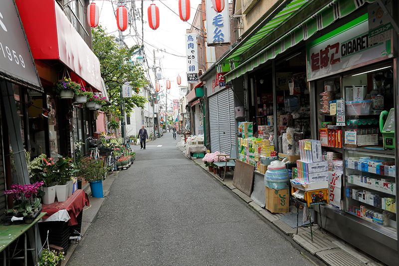 パペーテ桜橋 周辺画像7